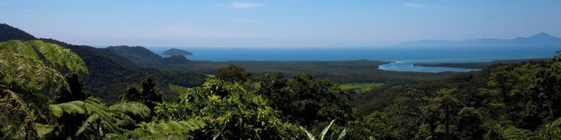 Alexandria Lookout is along the Daintree National Park road. You tuck your car off to the side, and take in this magnificent view. Panoramic views of Daintree, and the ocean. Seriously a sight to be seen.
