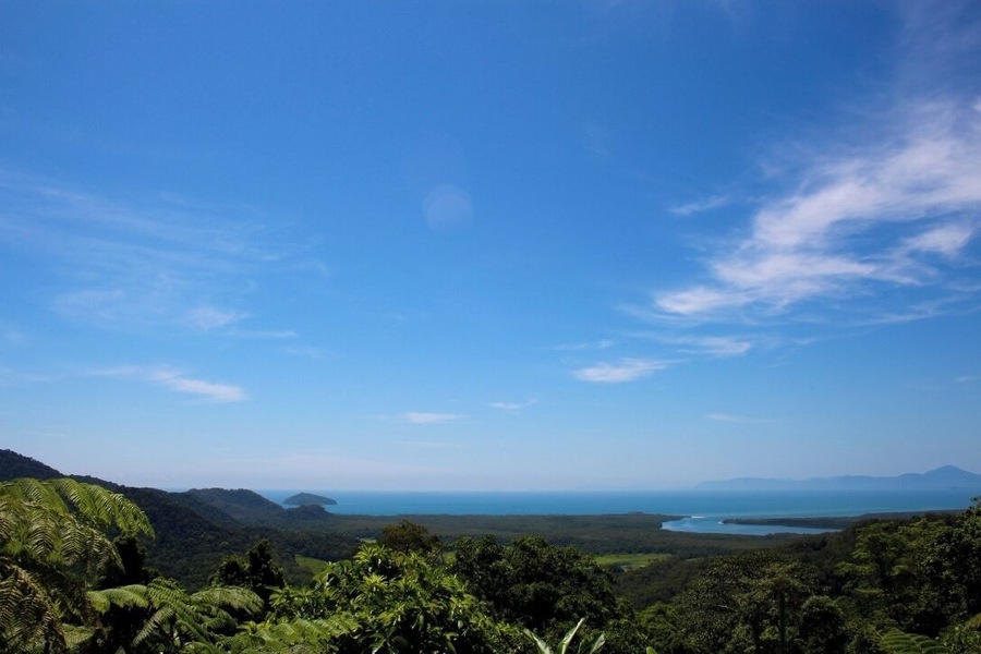 Alexandria Lookout is along the Daintree National Park road. You tuck your car off to the side, and take in this magnificent view. Panoramic views of Daintree, and the ocean. Seriously a sight to be seen.