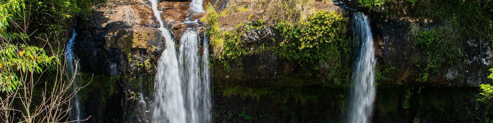 Wooroonooran National Park which includes a cascade and a river or creek
