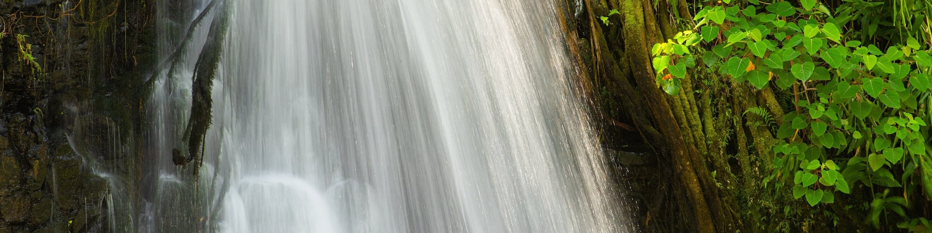 Wooroonooran National Park featuring a cascade
