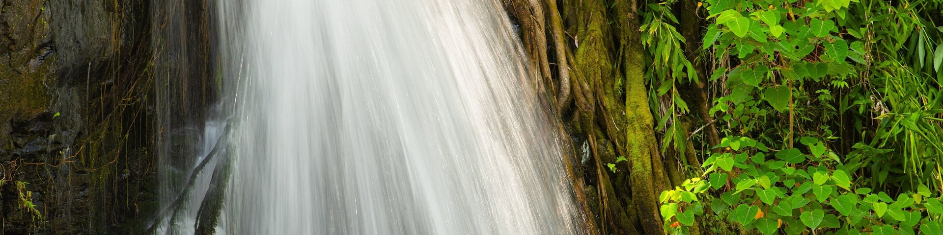 A waterfall cascading down a rocky cliff surrounded by lush greenery.