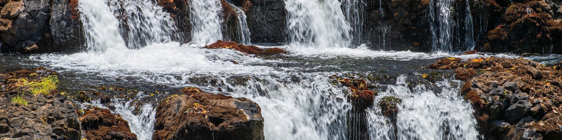 Wooroonooran National Park which includes a river or creek