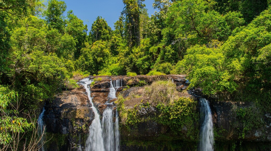 Wooroonooran National Park showing a waterfall