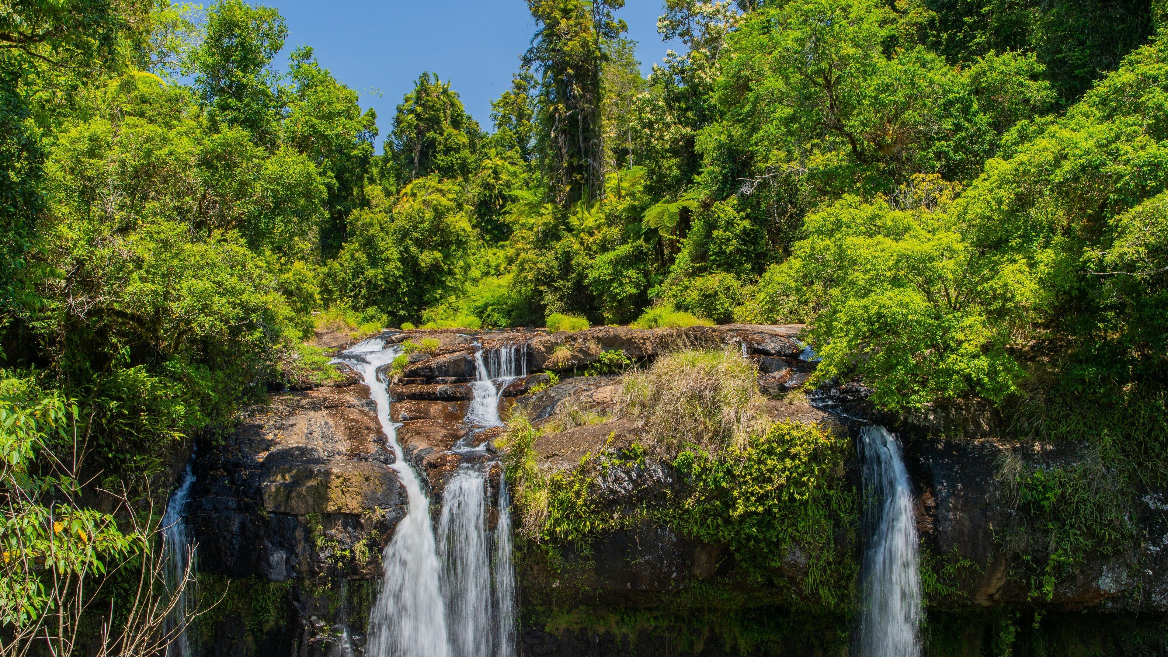 A waterfall cascading over a rocky ledge surrounded by dense green forest.