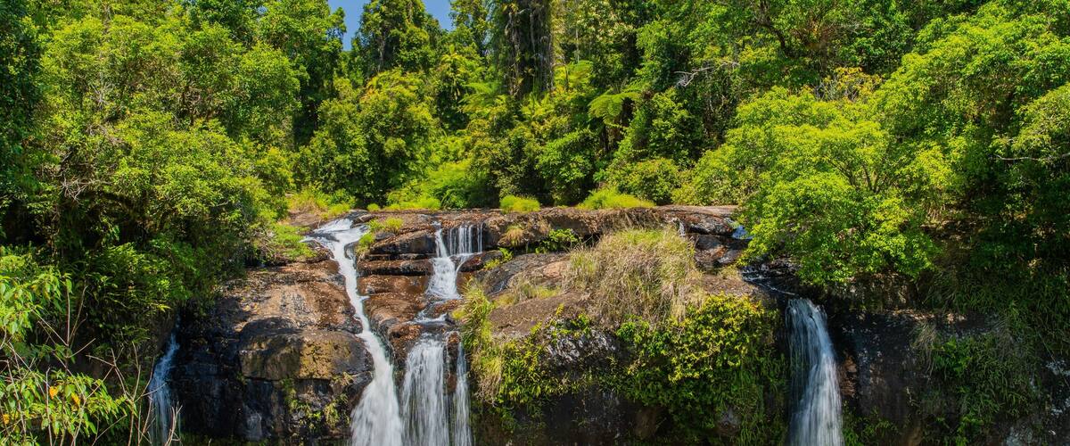 A waterfall cascading over a rocky ledge surrounded by dense green forest.