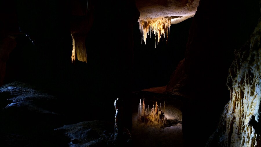 Parque Nacional Cuevas de Naracoorte