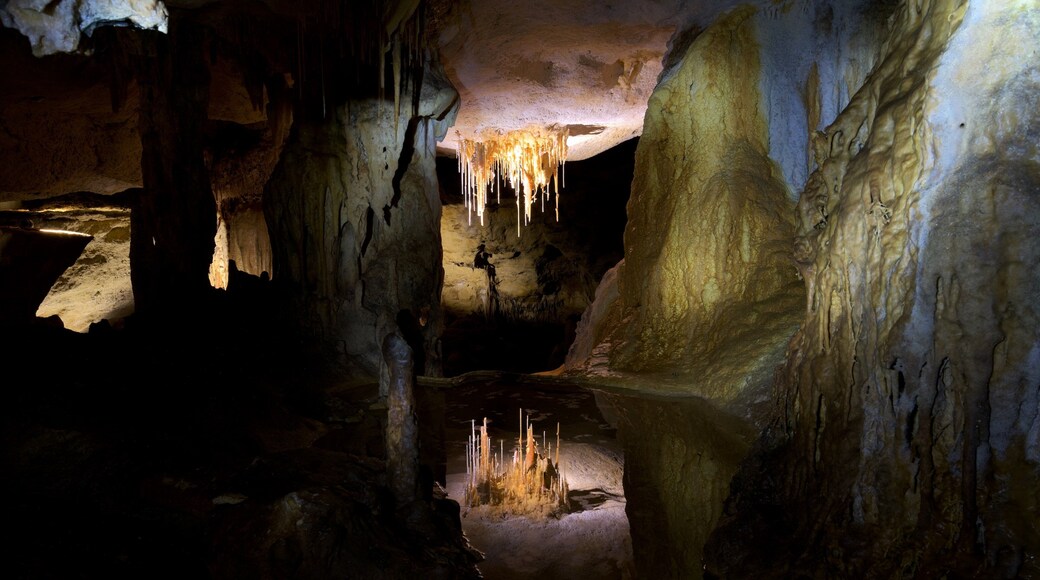 Naracoorte Caves National Park que inclui cavernas