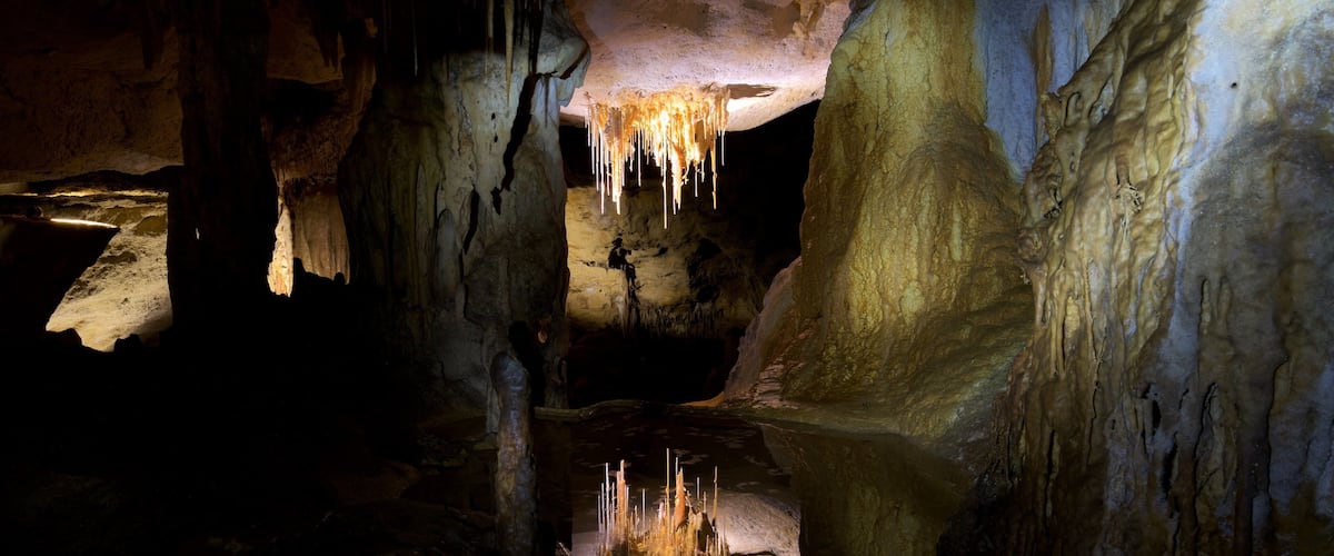 ๋๋ผ์ฝ๋ฅด ๋๊ตด ๊ตญ๋ฆฝ๊ณต์ ์ด ํฌํจ ๋๊ตด