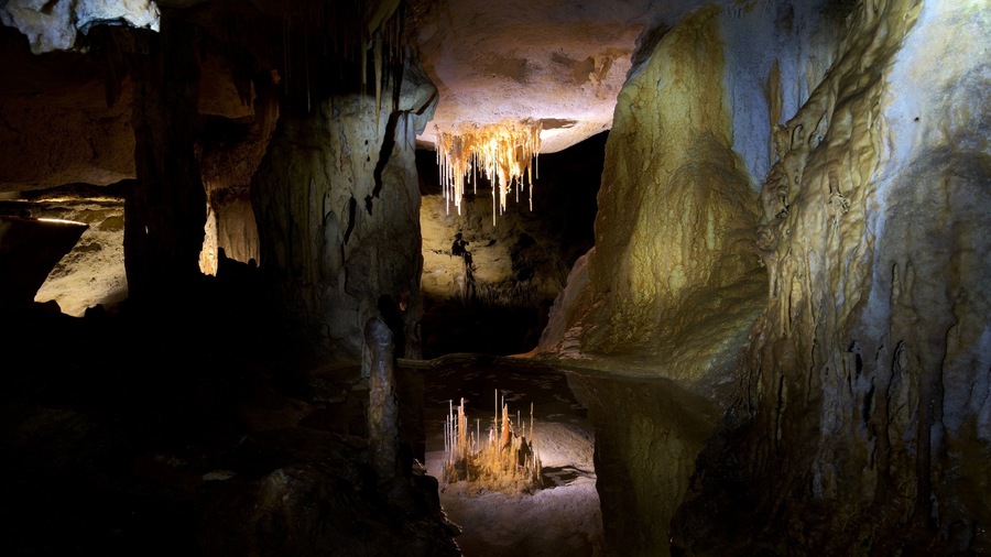 Naracoorte Caves National Park caratteristiche di grotte