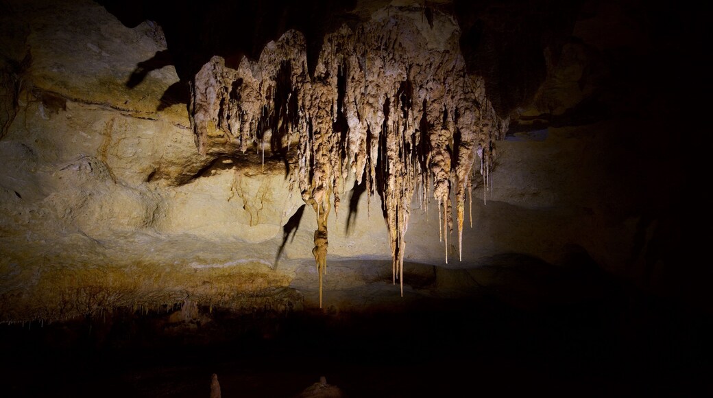Naracoorte Caves National Park