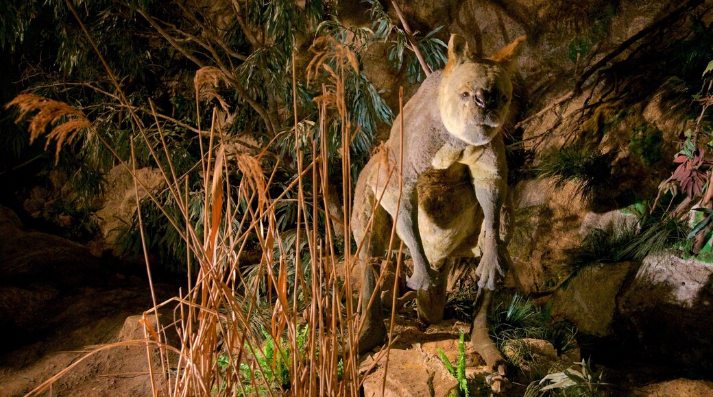 Naracoorte Caves National Park