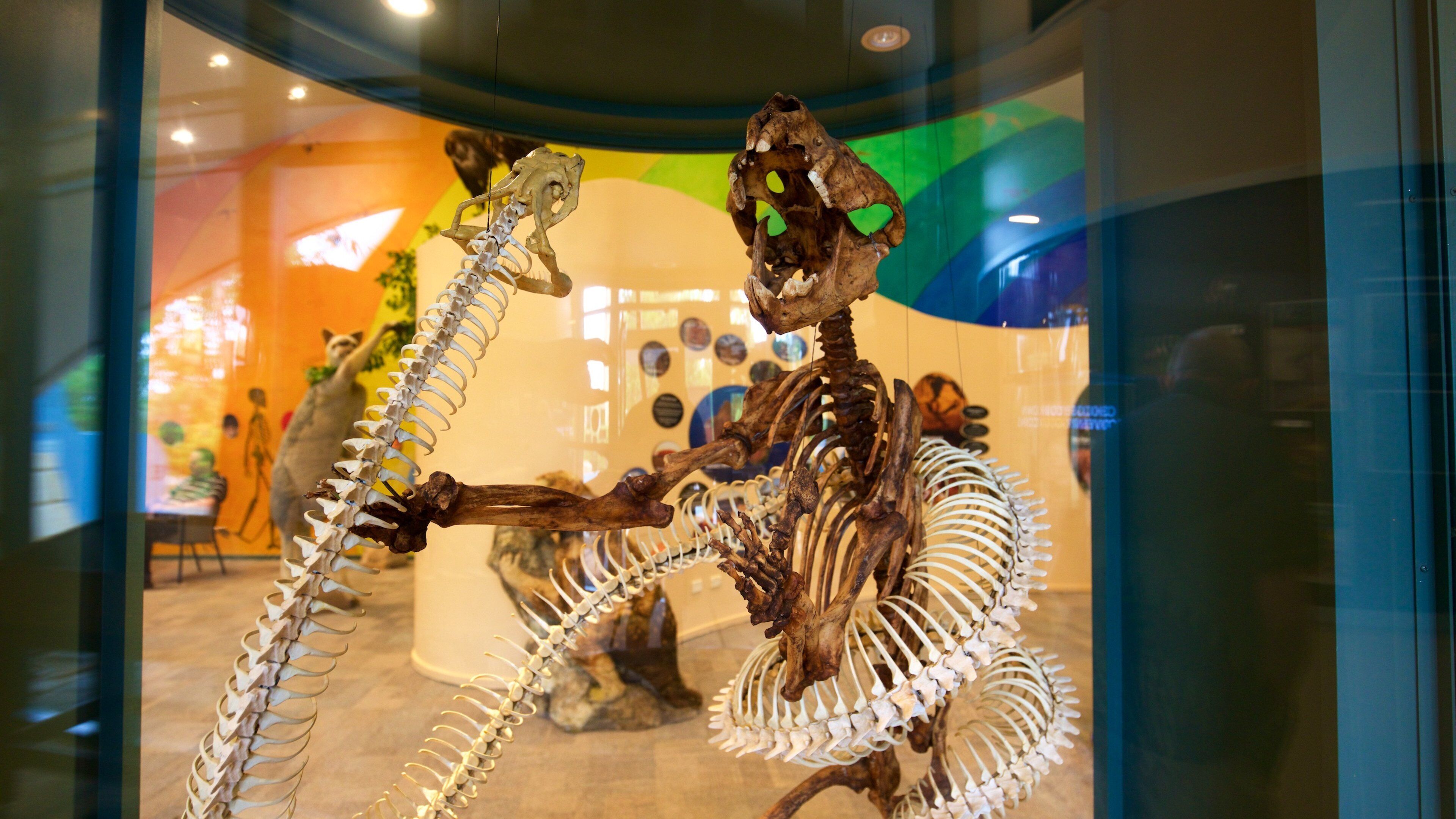 納拉庫特岩洞國家公園