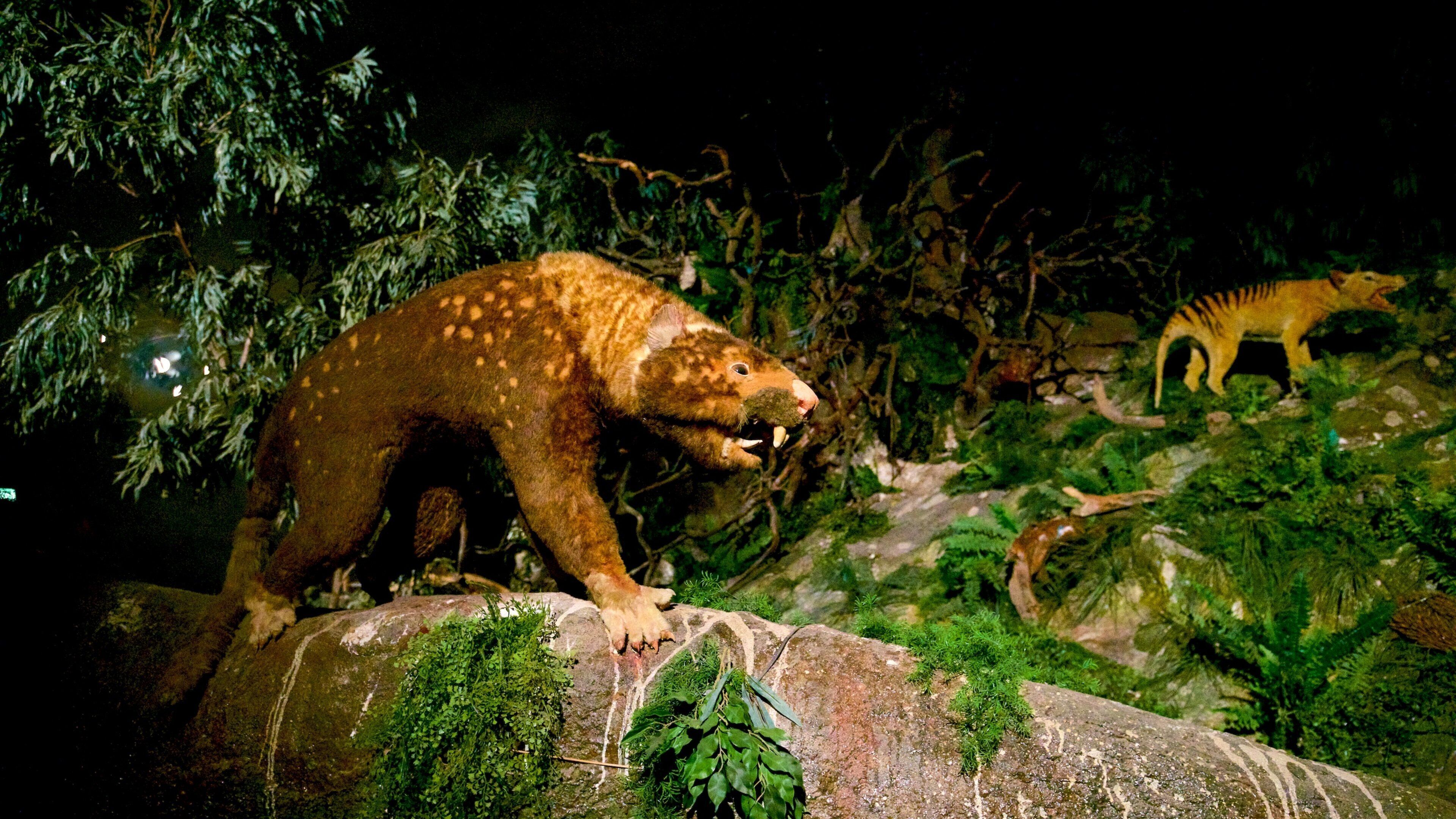 Naracoorte Caves National Park
