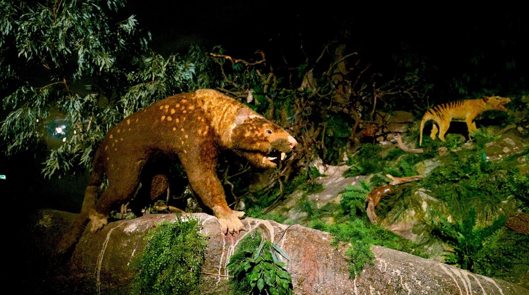 Naracoorte Caves National Park