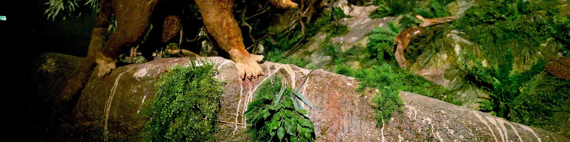 Naracoorte Caves National Park