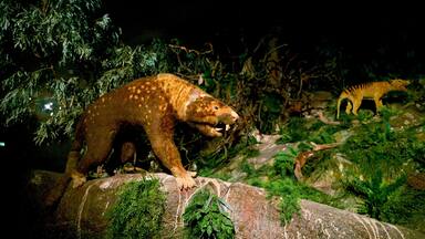 Parc national des grottes de Naracoorte