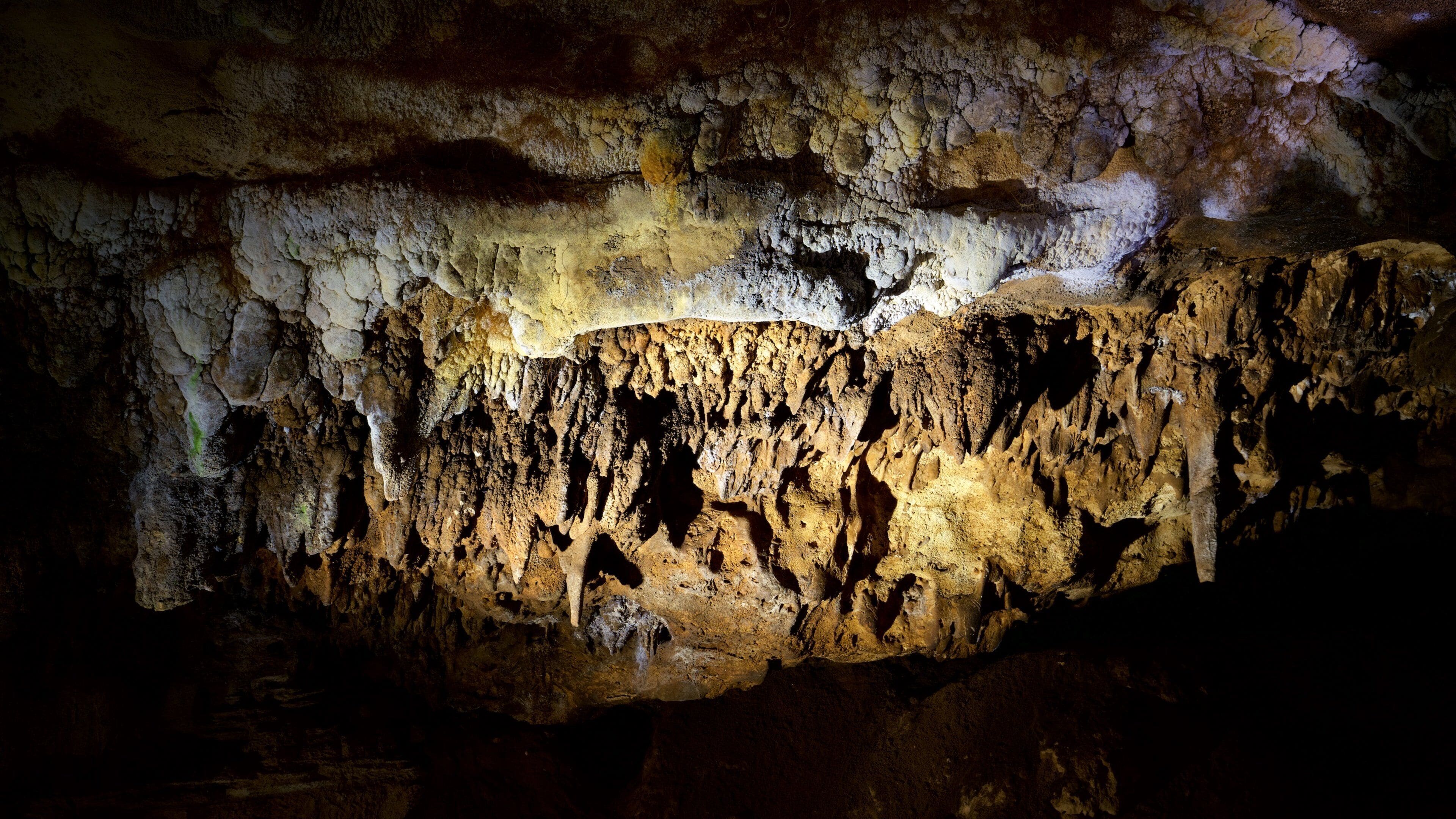 Naracoorte Caves National Park