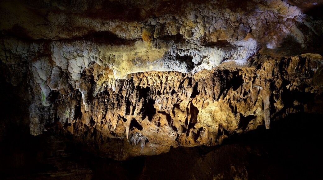 Naracoorte Caves National Park