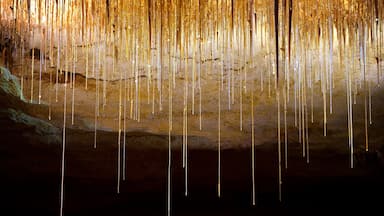 Naracoorte Caves National Park which includes caves