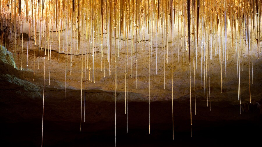 Naracoorte Caves National Park which includes caves