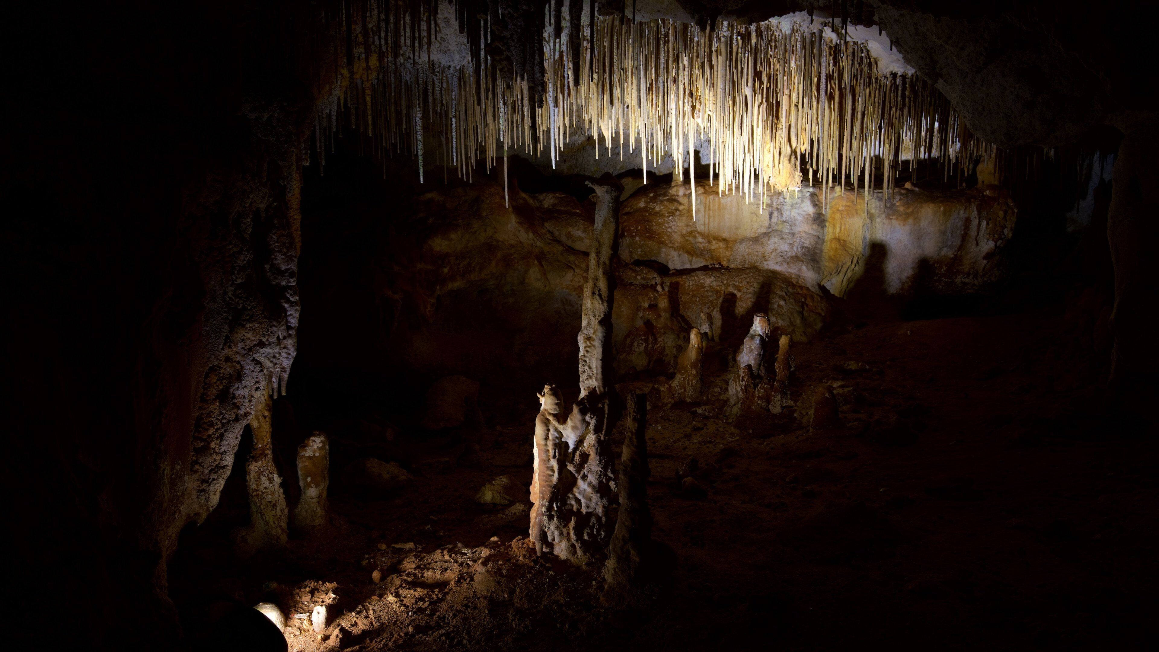 Naracoorte Caves National Park