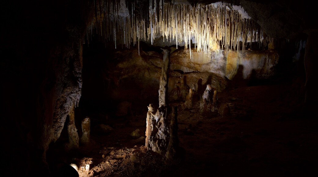 納拉庫特岩洞國家公園