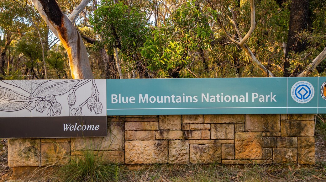 Blue Mountains National Park featuring signage