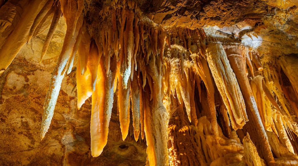 Jenolan Caves which includes caves