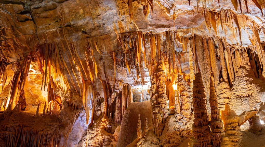 Jenolan Caves which includes caves