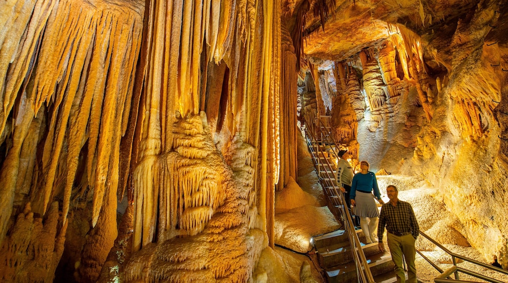 Jenolan Caves showing caves as well as a small group of people