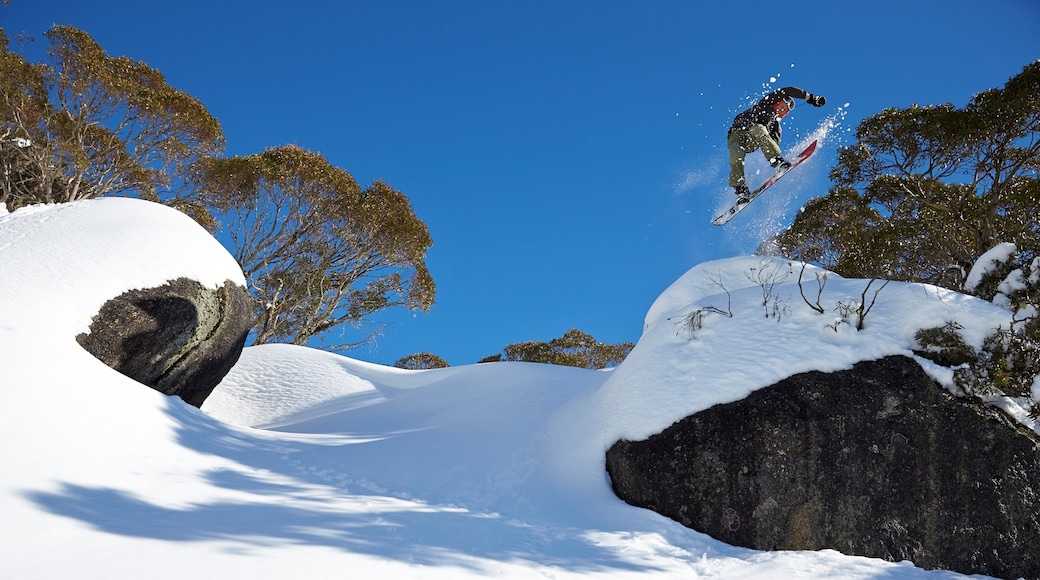 Perisher skiområde som viser snowboarding og snø