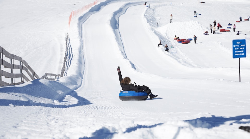 Perisher skiområde fasiliteter samt skilt, snø og snowtubing