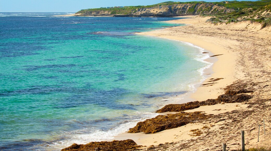 Prevelly Beach showing a bay or harbor, a beach and general coastal views