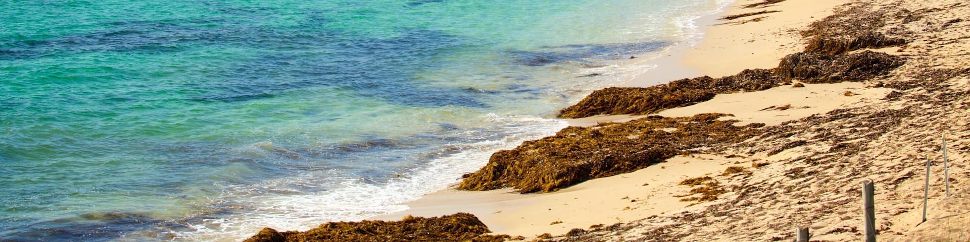 Prevelly Beach showing general coastal views, a bay or harbour and a beach