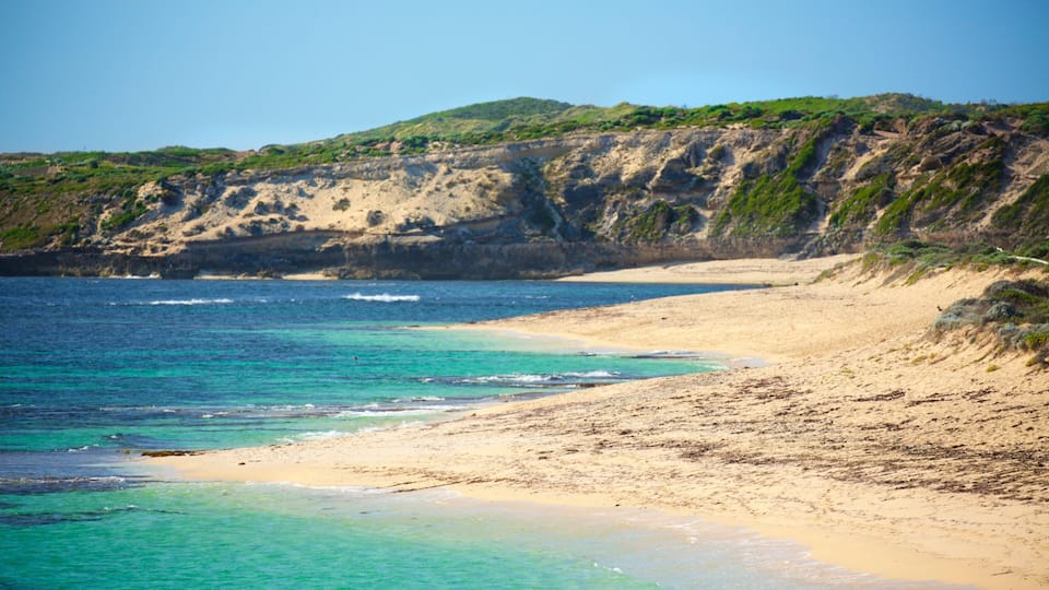 A coastal beach with clear turquoise waters, sandy shore, and a rocky cliff with sparse vegetation.