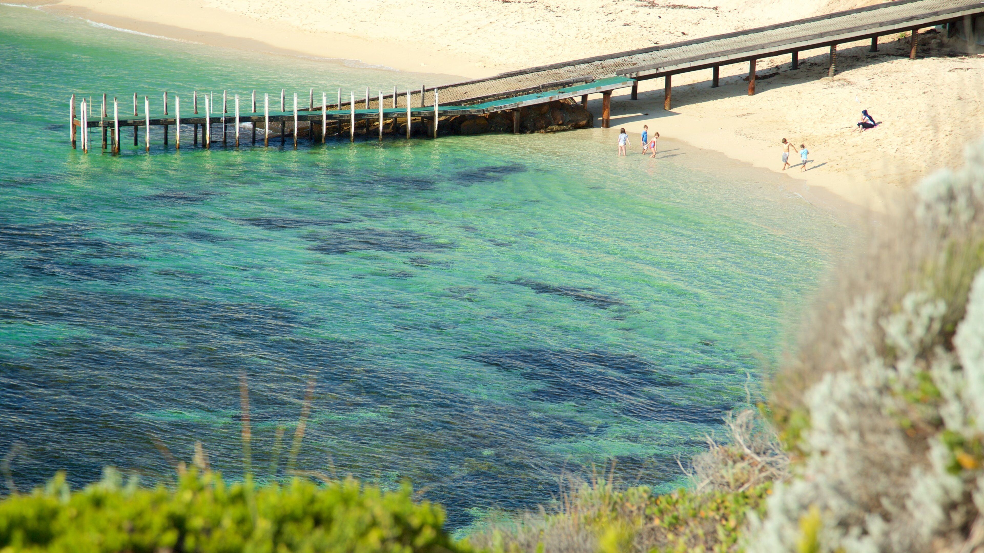 Gnarabup showing general coastal views, a beach and a bay or harbour