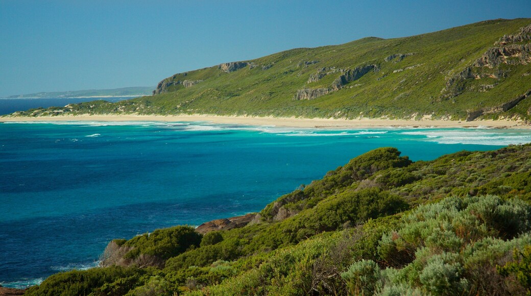 Conto Beach featuring general coastal views and landscape views