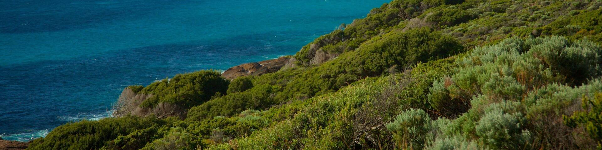 Conto Beach featuring general coastal views and landscape views