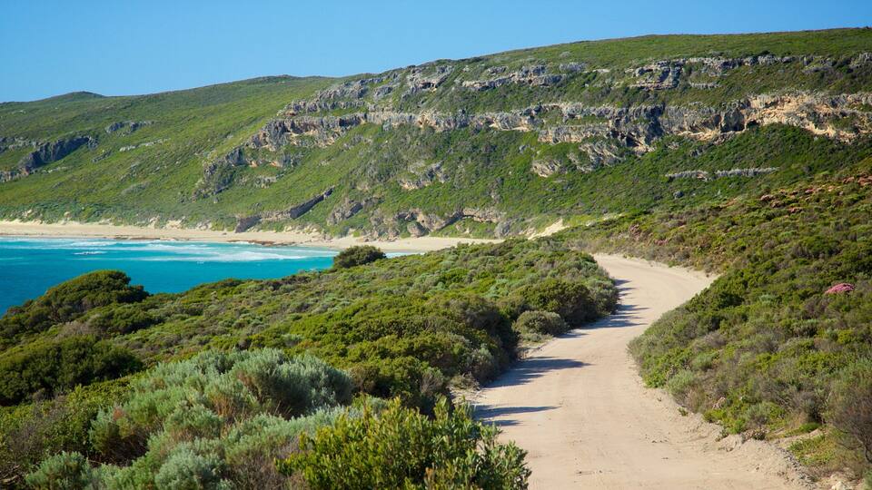 A coastal path with green vegetation and cliffs.