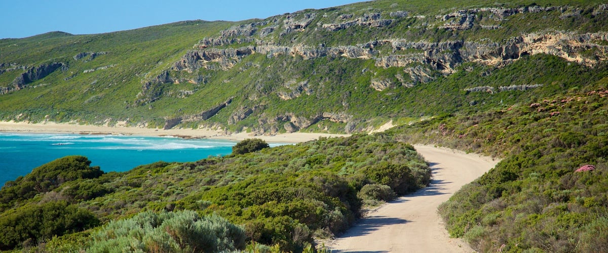 A coastal path with green vegetation and cliffs.