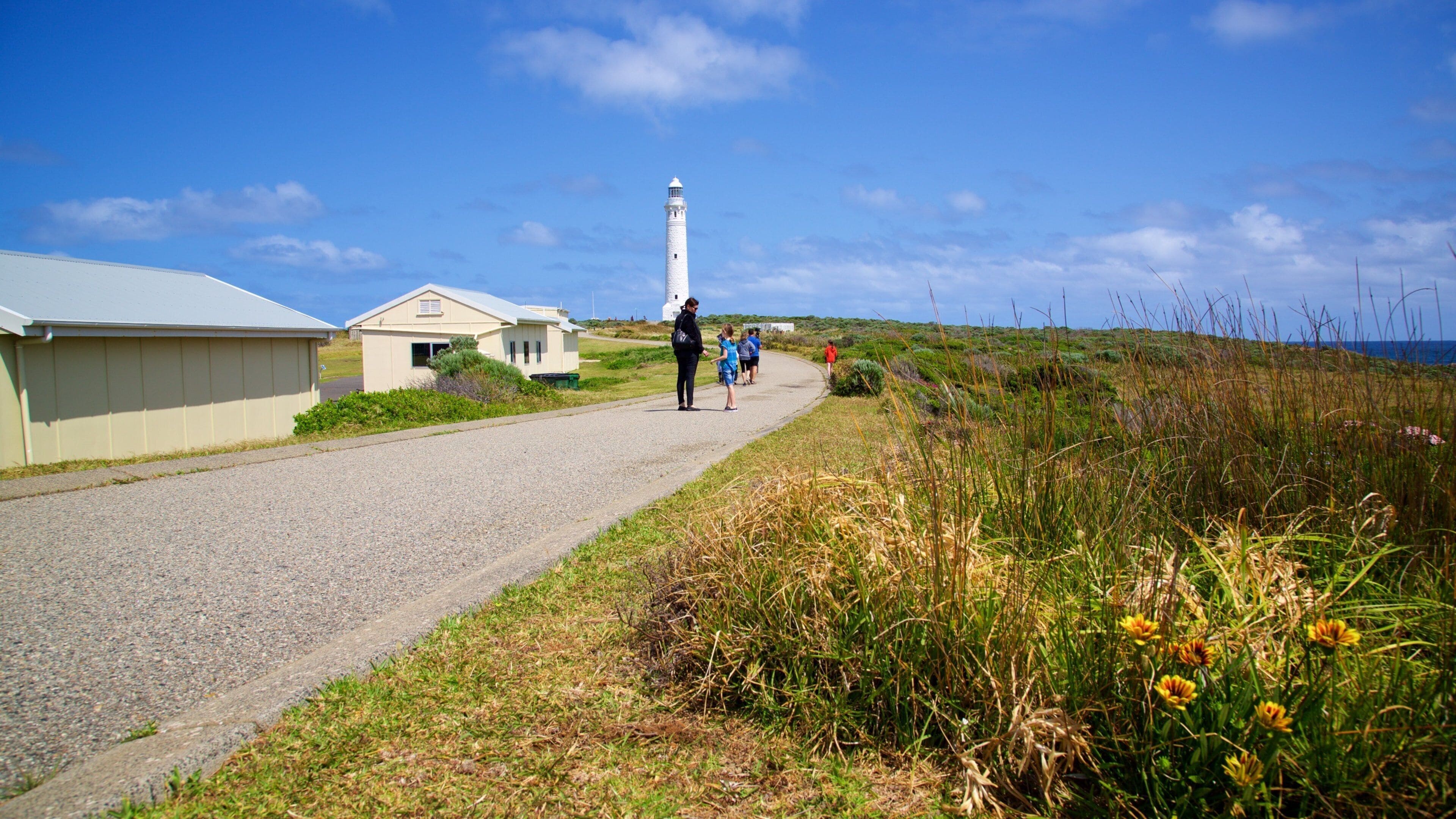 A coastal road with a lighthouse, grassy areas, and a building with a white roof.