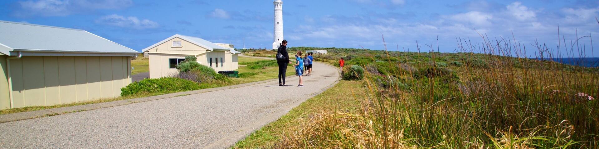 A coastal road with a lighthouse, grassy areas, and a building with a white roof.