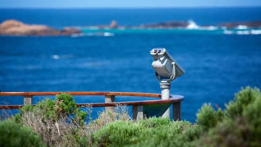 Cape Leeuwin Lighthouse featuring general coastal views and views