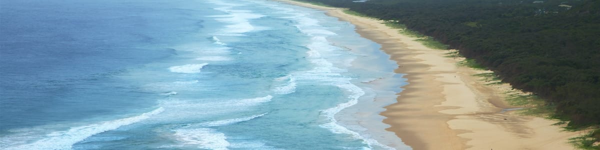 Un paysage côtier avec une plage de sable et des vagues de l’océan.