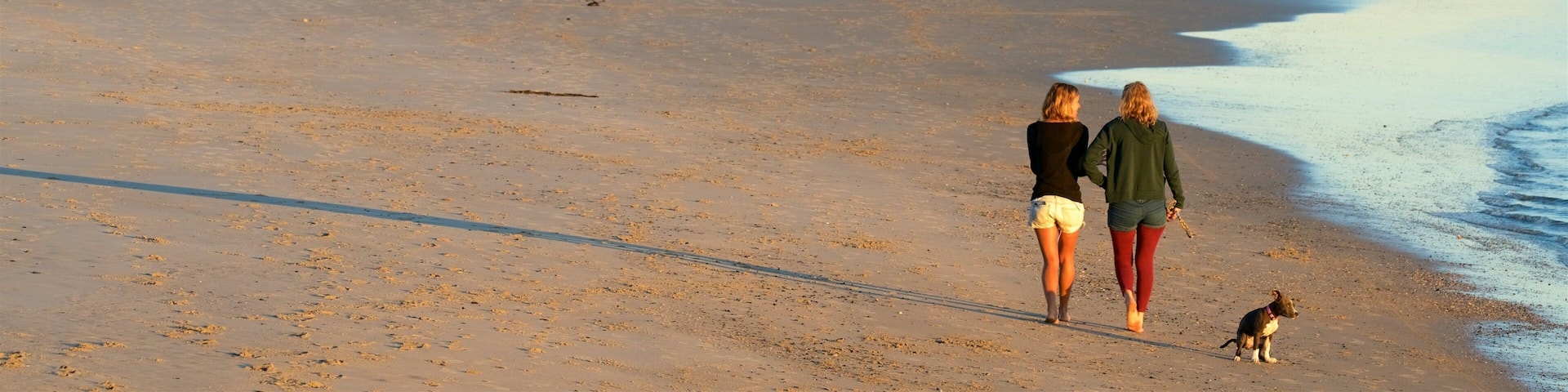 Byron Bay mettant en vedette plage de sable