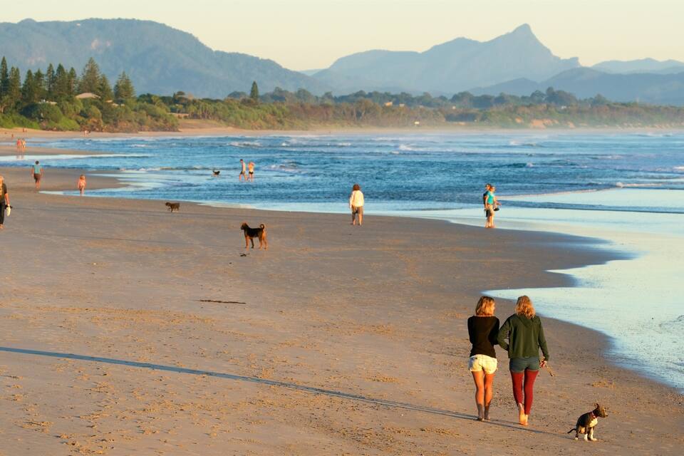 A beach with people walking and dogs, mountains in the background, and a clear sky.