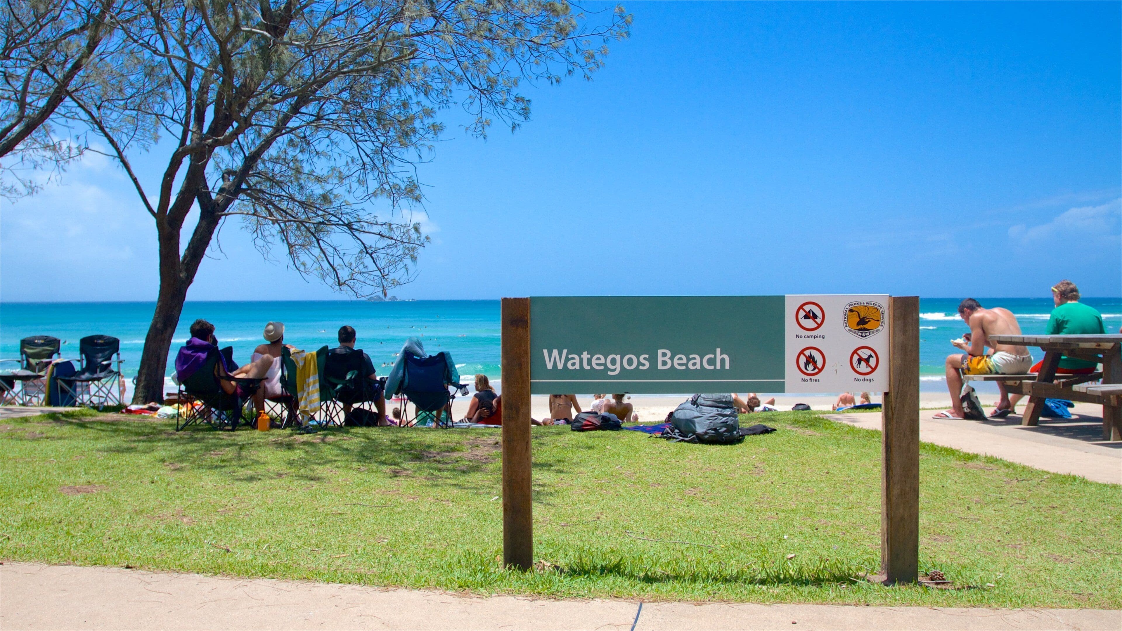 Een strandscène met een bord waarop staat 'Wategos Beach' en borden met daarop 'niet kamperen', 'vuur verboden' en 'honden verboden'.