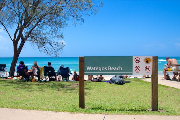 A beach scene with a sign reading "Wategos Beach" and a no camping, no fires, and no dogs sign.