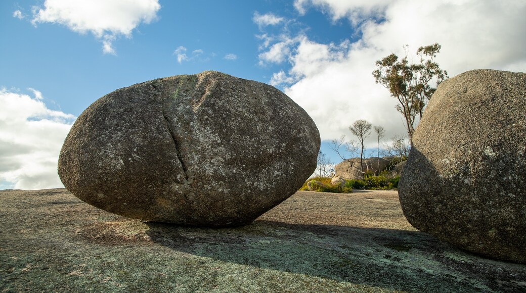 Bald Rock National Park showing tranquil scenes