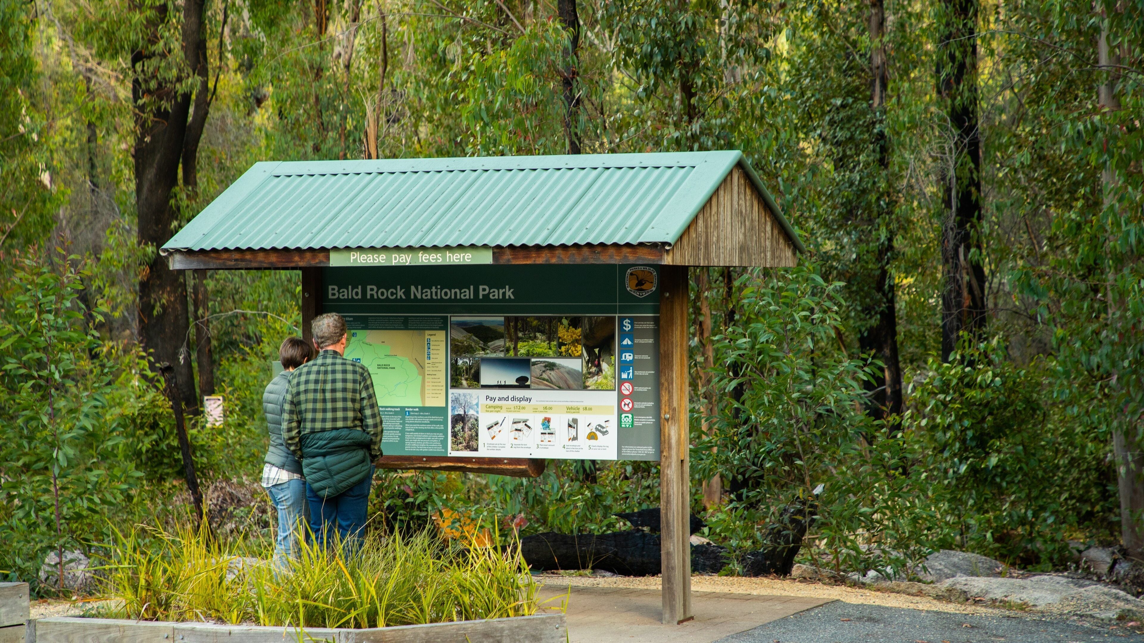 Bald Rock National Park showing forest scenes and signage as well as a couple